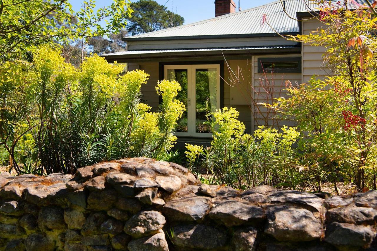 Villa Hepburn Springs Retreat Extérieur photo
